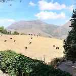 Calici Pioppo