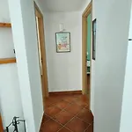 Calici *