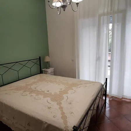 Calici * Pioppo