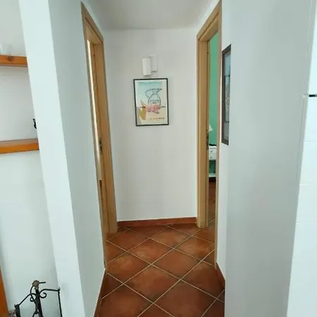 Calici *